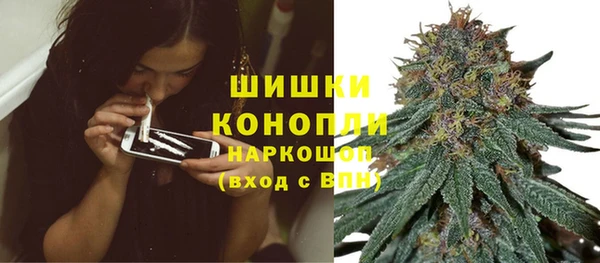 трава Надым
